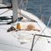 Jeanneau Sun Odyssey 32 | Ana 2