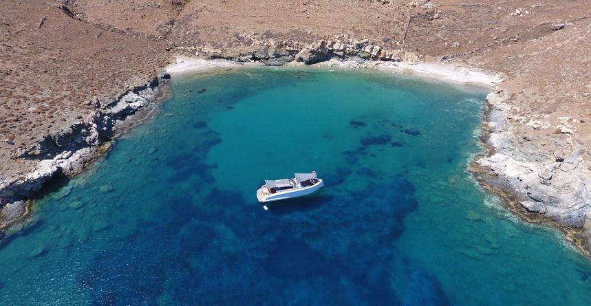 Vanquish 43 | Placebo