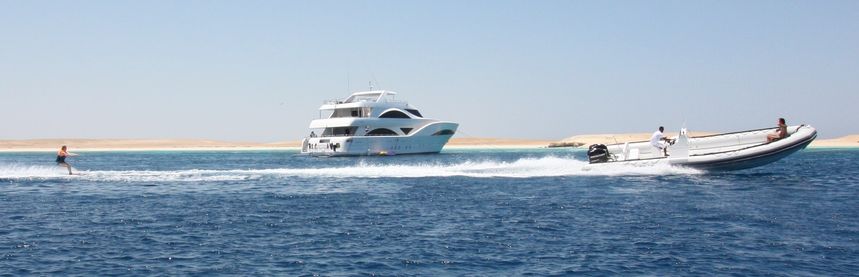 Custom Built 131 | Seven Spices