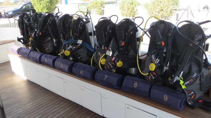 Custom Built 131 | Seven Spices