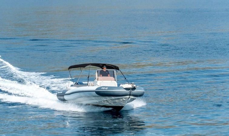 Marlin 790 | Dynamic