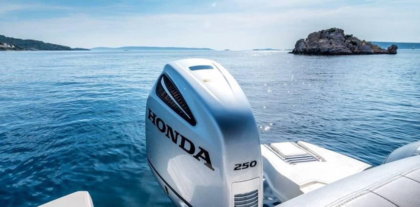 Marlin 790 | Dynamic