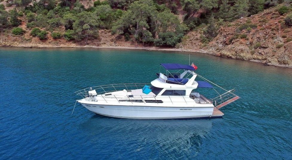 Custom Built 49 | Omega