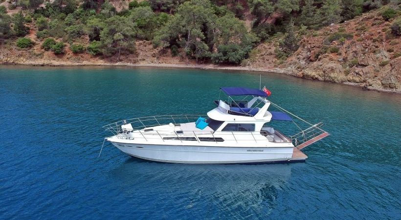 Custom Built 49 | Omega