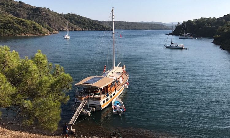 Gulet 62 | Temel Reis 3