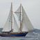 Gulet 82 | Grandi