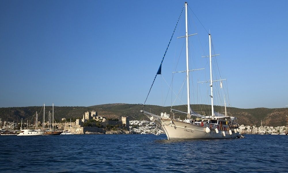 Gulet 105 | Osman Kurt