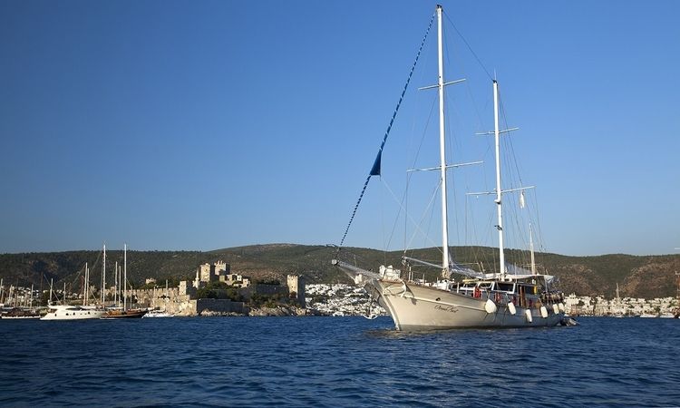 Gulet 105 | Osman Kurt