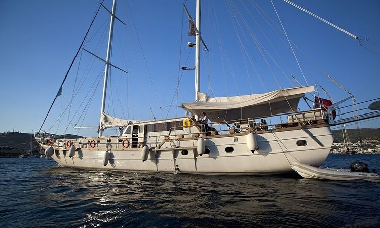 Gulet 105 | Osman Kurt