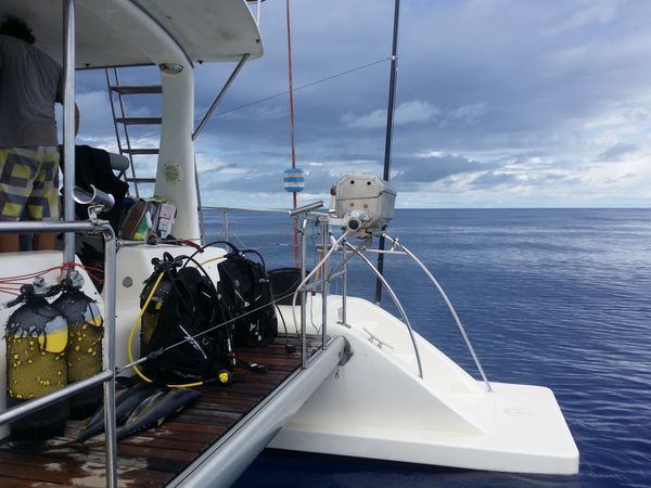 Maxim 400 | Never Say Never