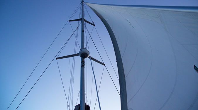 Voyage 500 | Walkabout