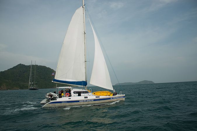 Custom Built 48 | Amadeus