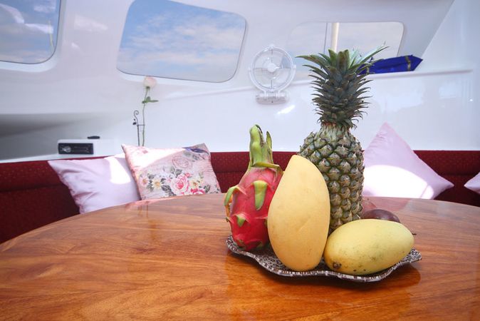 Custom Built 48 | Amadeus