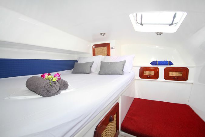 Custom Built 48 | Amadeus