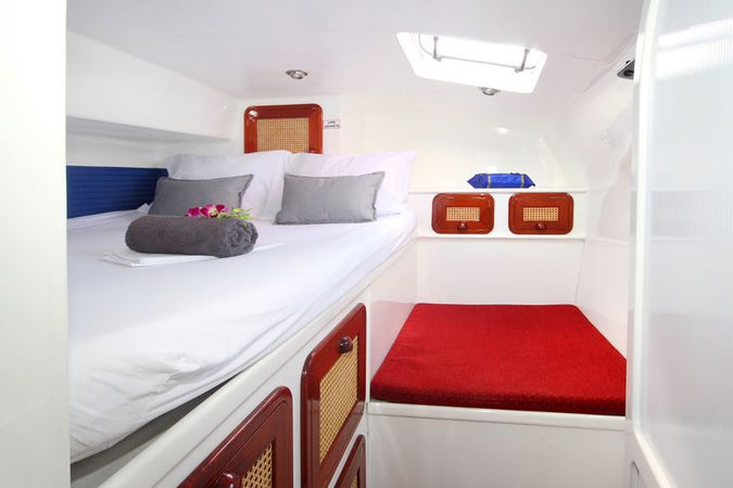 Custom Built 48 | Amadeus