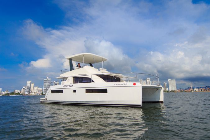 Leopard 433 | Oddysea