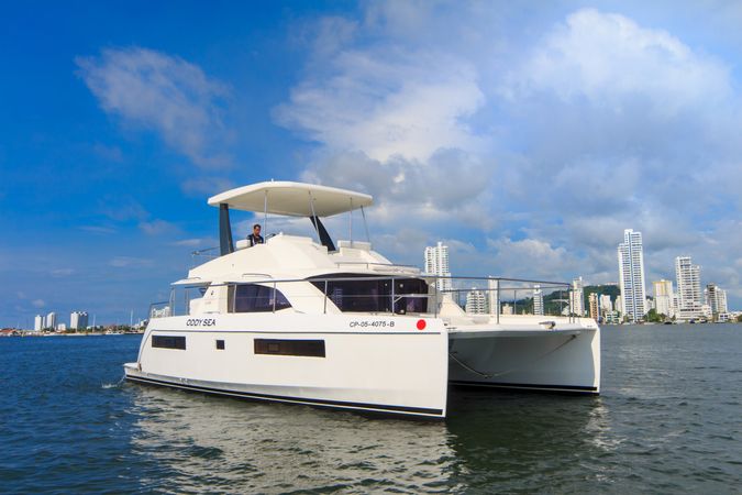 Leopard 433 | Oddysea