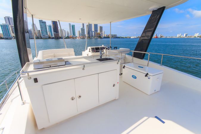 Leopard 433 | Oddysea