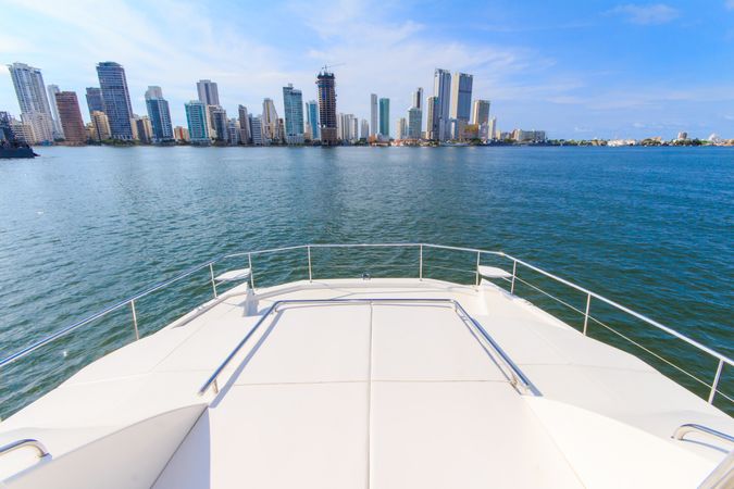 Leopard 433 | Oddysea