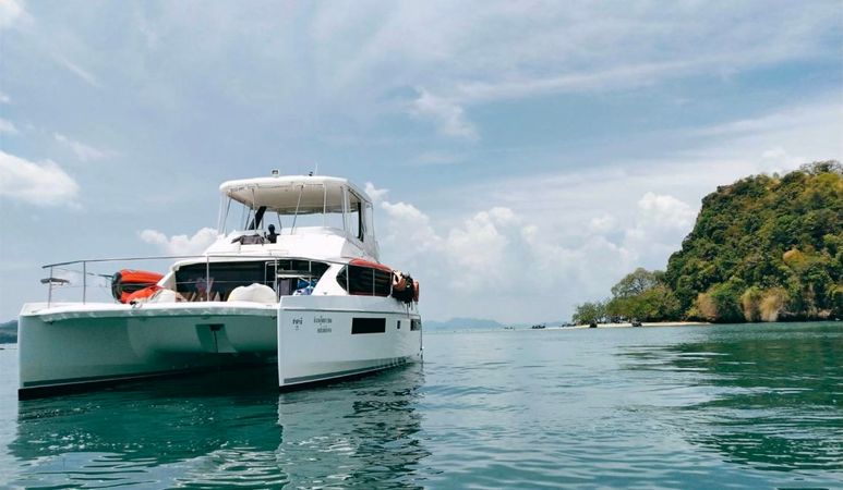 Leopard 43 | Shashani