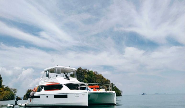 Leopard 43 | Shashani