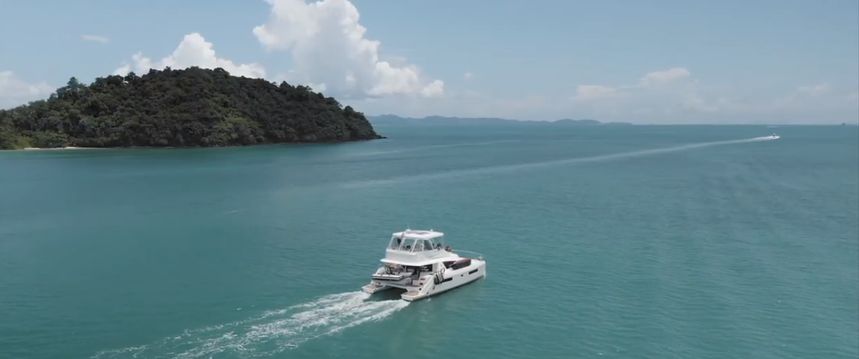 Leopard 43 | Shashani