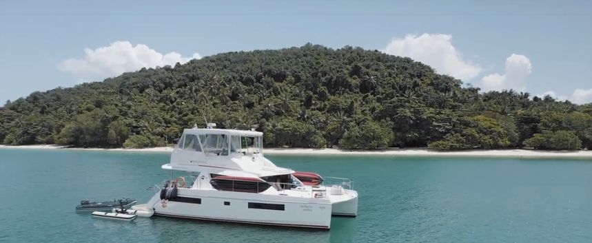 Leopard 43 | Shashani