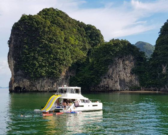 Leopard 43 | Shashani