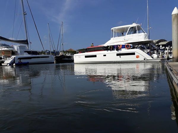 Leopard 43 | Shashani