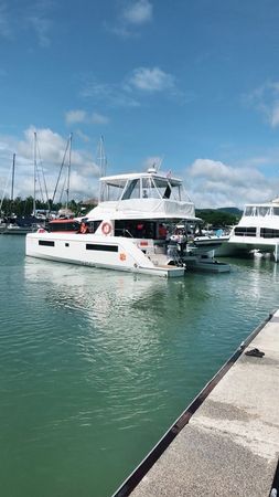 Leopard 43 | Shashani