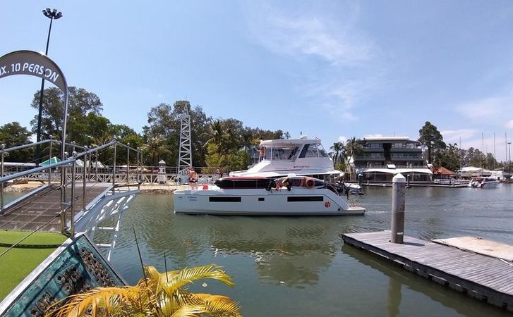 Leopard 43 | Shashani