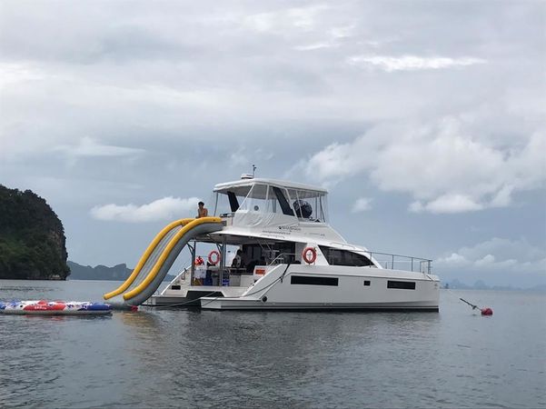 Leopard 43 | Shashani