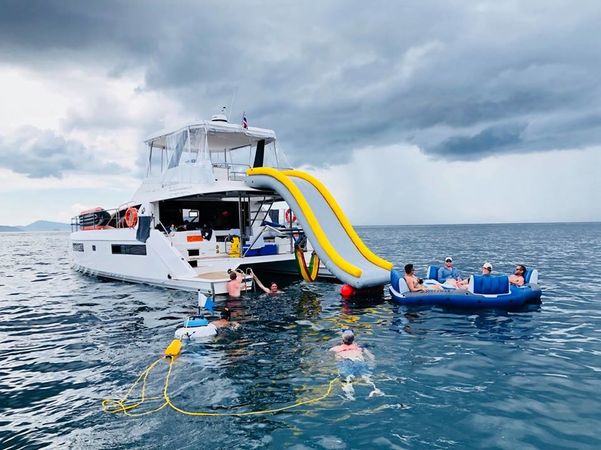 Leopard 43 | Shashani