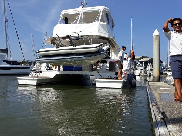 Leopard 43 | Shashani