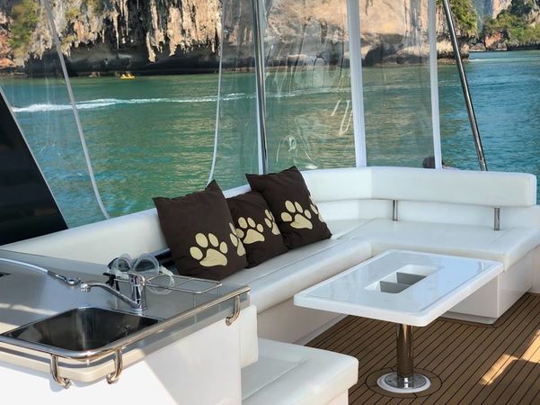 Leopard 43 | Shashani