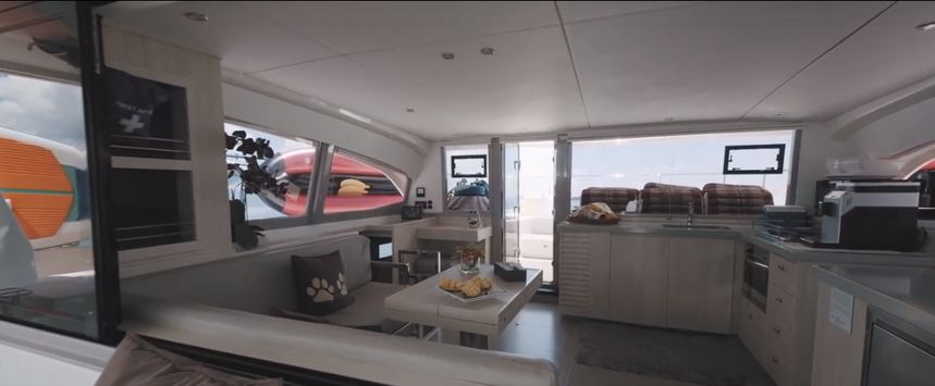 Leopard 43 | Shashani