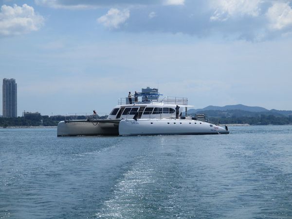 Serenity 73 | White Swan