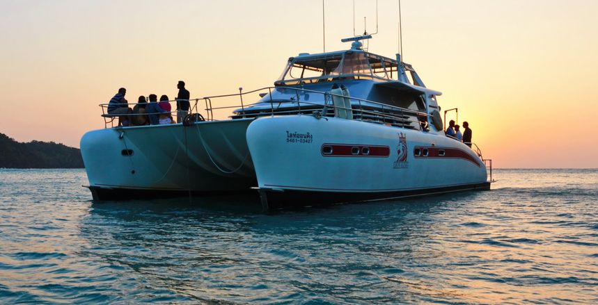 Serenity 52 | Lion King