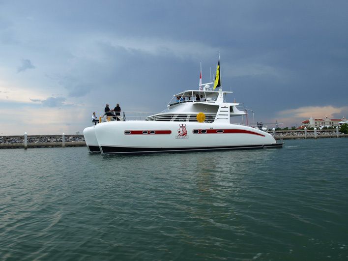 Serenity 52 | Lion King