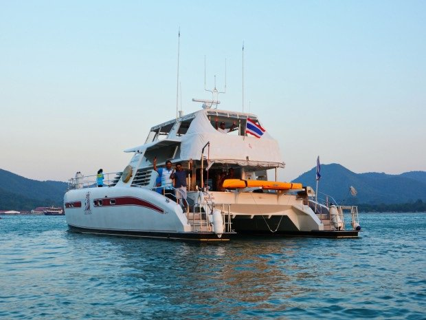 Serenity 52 | Lion King