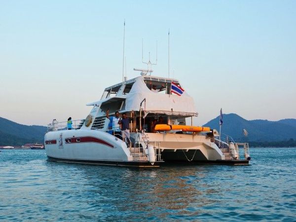 Serenity 52 | Lion King