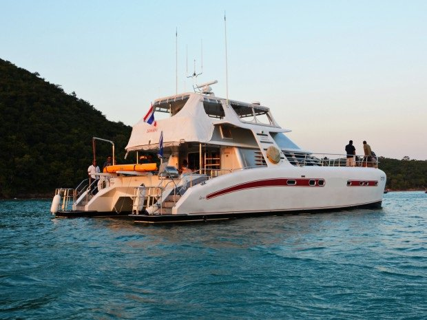 Serenity 52 | Lion King