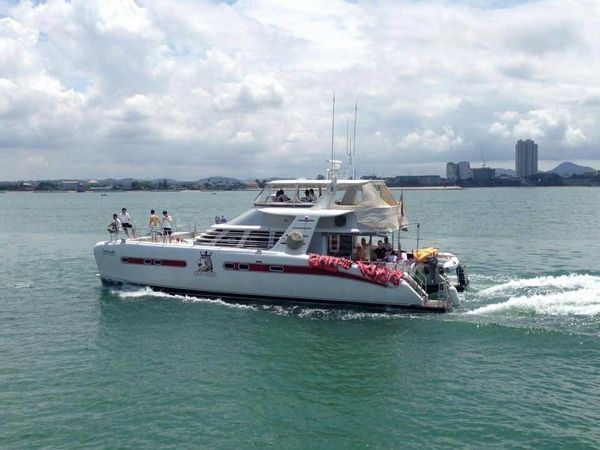 Serenity 52 | Lion King