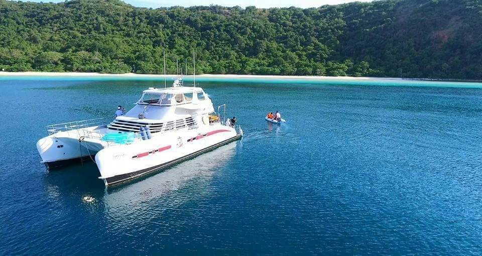 Serenity 52 | Lion King