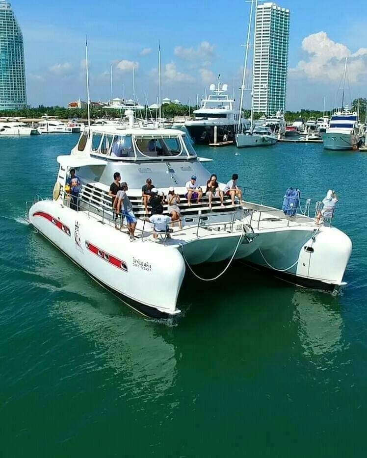 Serenity 52 | Lion King