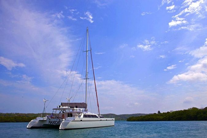 Custom Built 65 | Maxicat