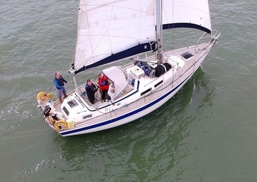 Hallberg Rassy 36 | Kasara