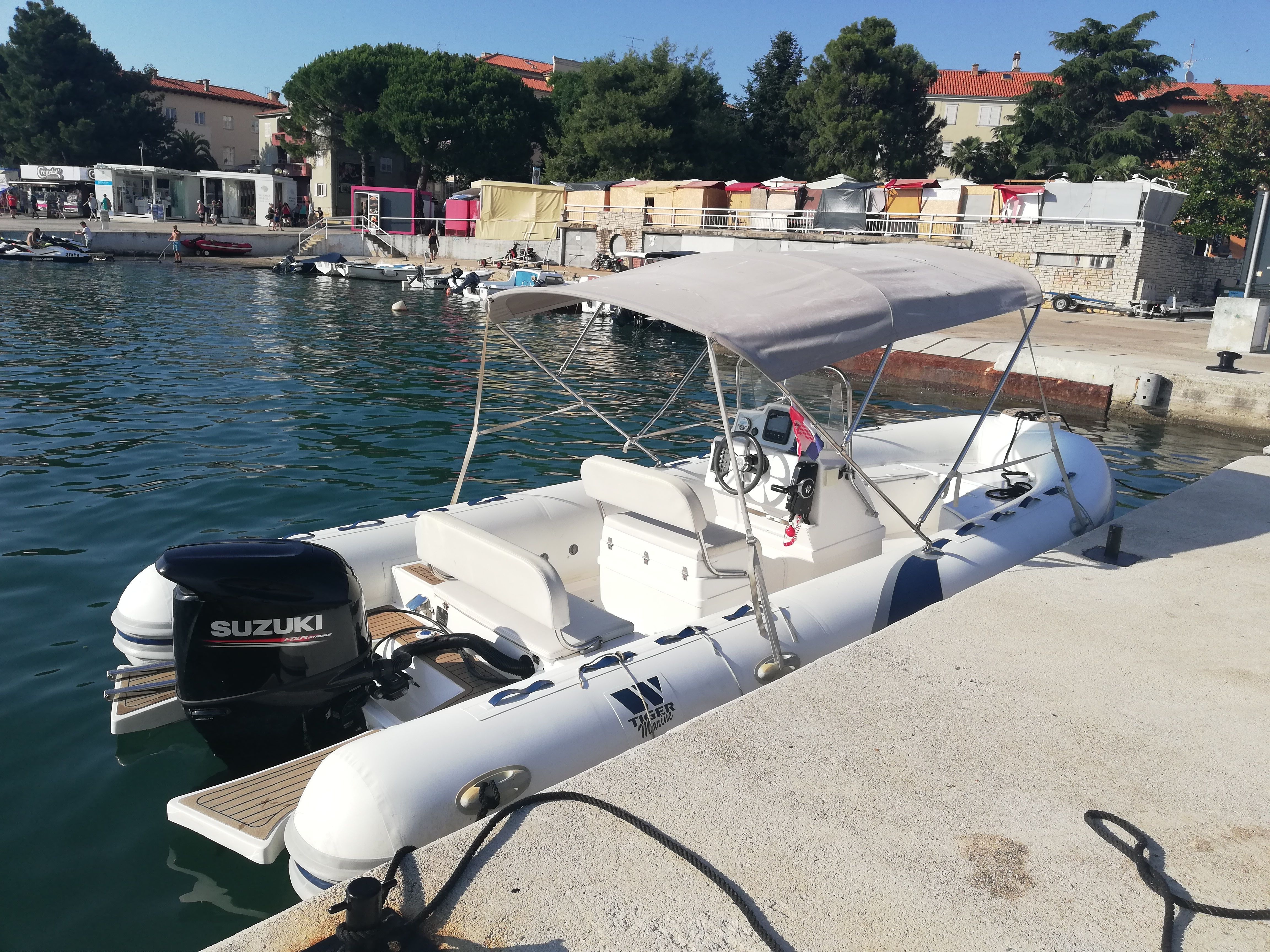 Tiger Marine 620 | Proline