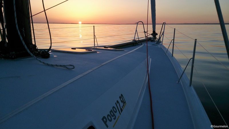 Pogo 12.50 | Raceberry