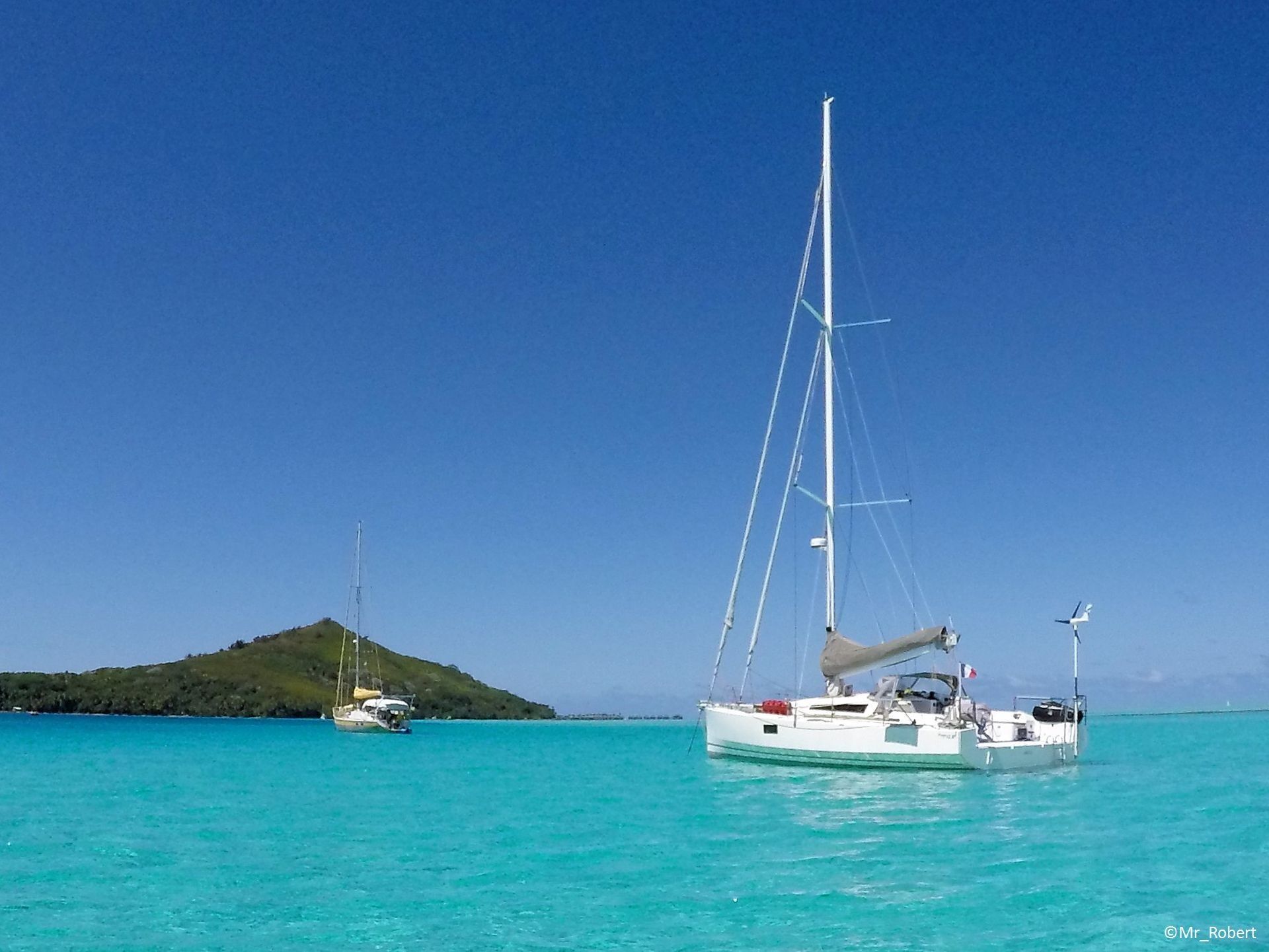 Pogo 12.50 | Raceberry